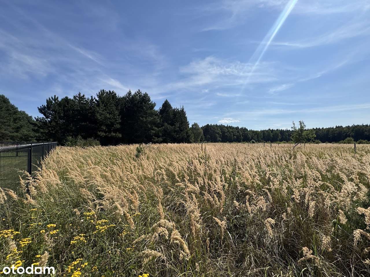 Wierzyce Osiedle Akacjowe - przy lesie-4