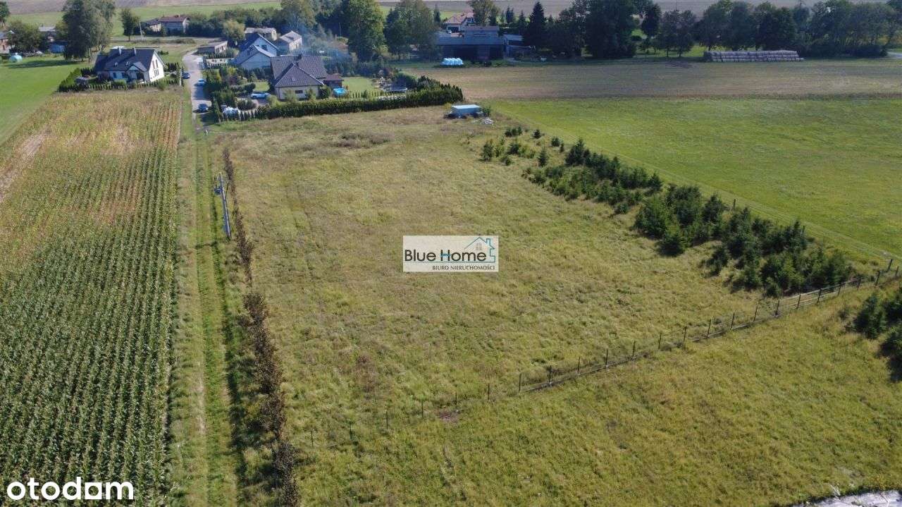 Gostkowo Działki budowlane z Wz - Pełny obrazek: 5/8