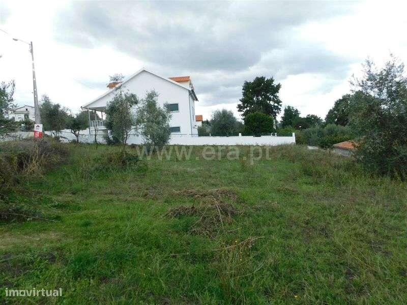 Terreno / Gouveia, Moimenta da Serra e Vinhó - Grande imagem: 3/6