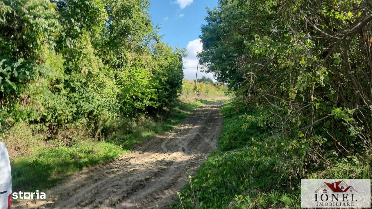 Casa in Abram - Dijir - Imagine principală: 5/7