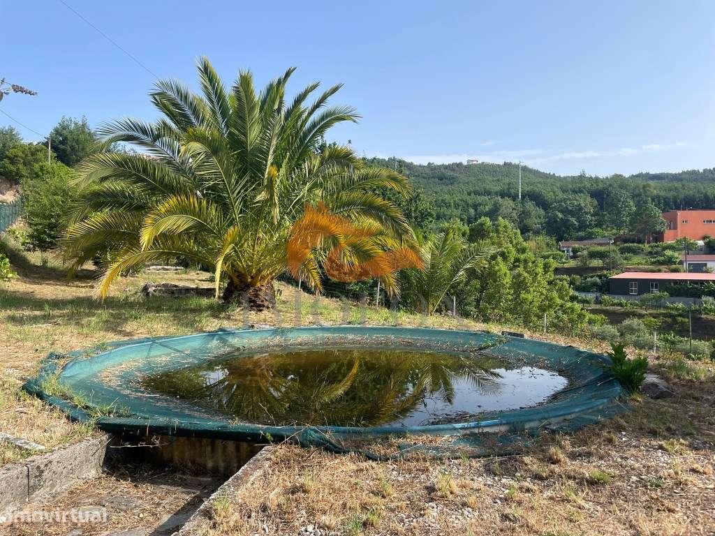 Quinta de S. Pedro em Penalva do Alva, Oliveira do Hospital-31