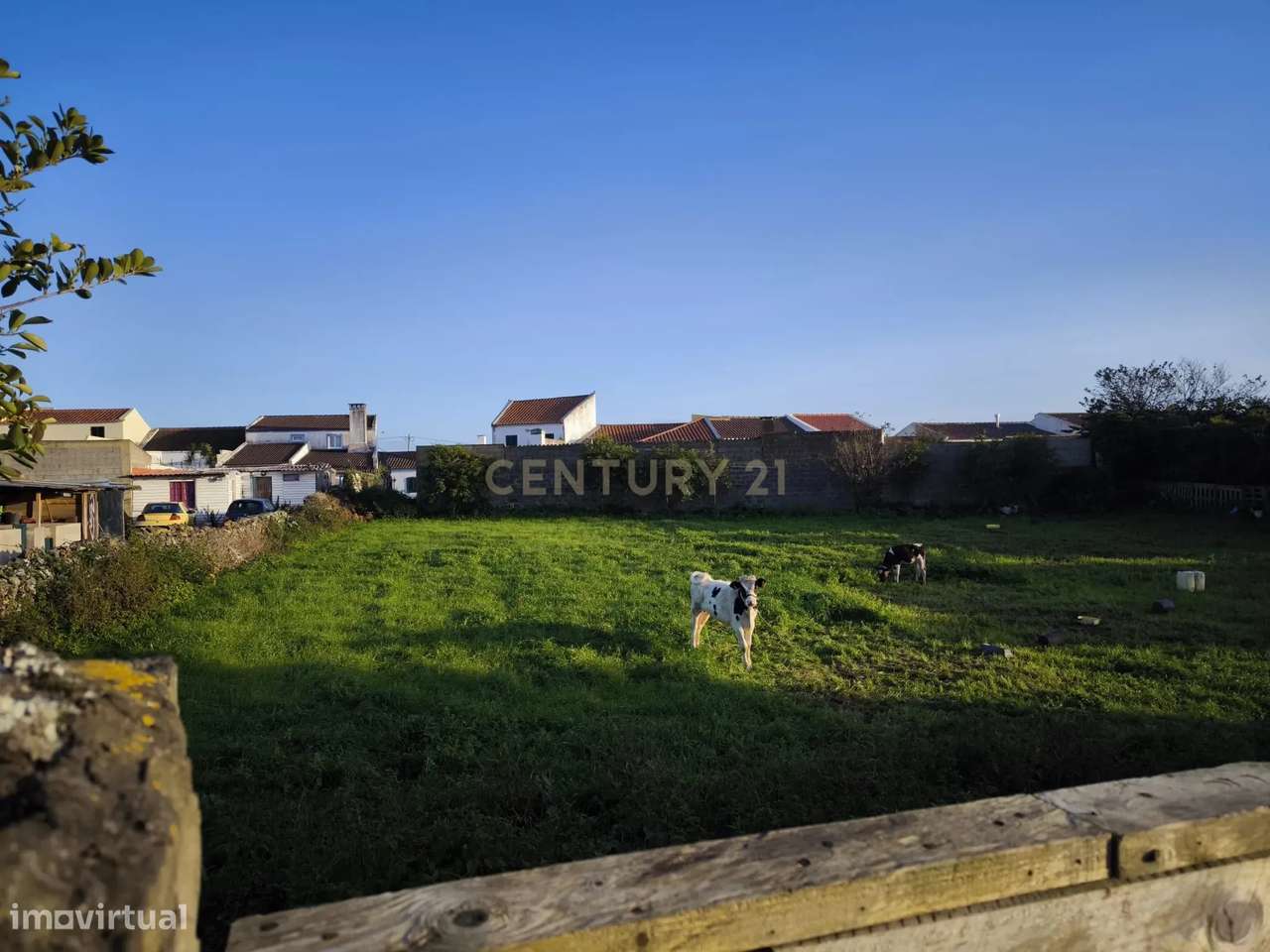 Terreno com 1 920m2, situado em Santa Cruz Lagoa - Grande imagem: 2/9