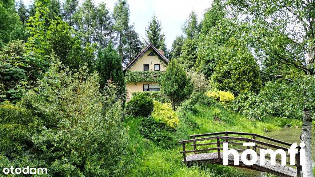 Dom i ogród marzeń obok Polanicy / staw i strumień - Pełny obrazek: 4/13