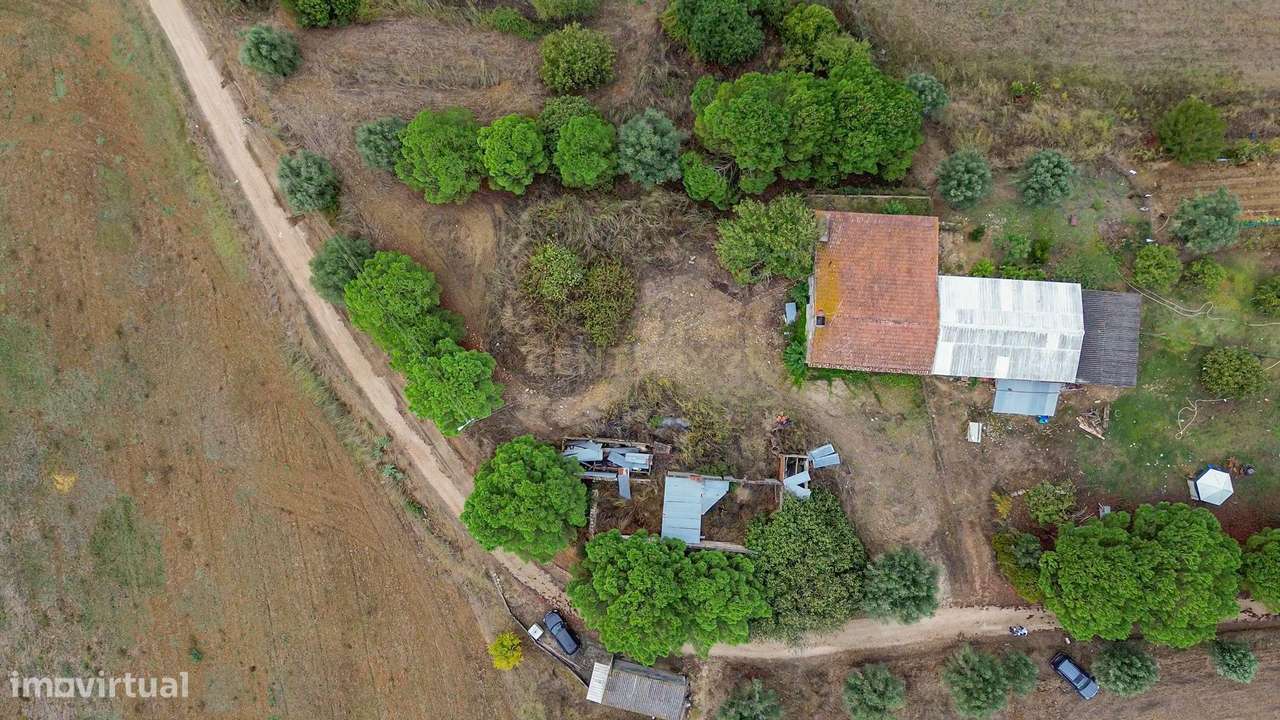 Moradia C/ Terreno 2,2 Hectares - Grande imagem: 5/22