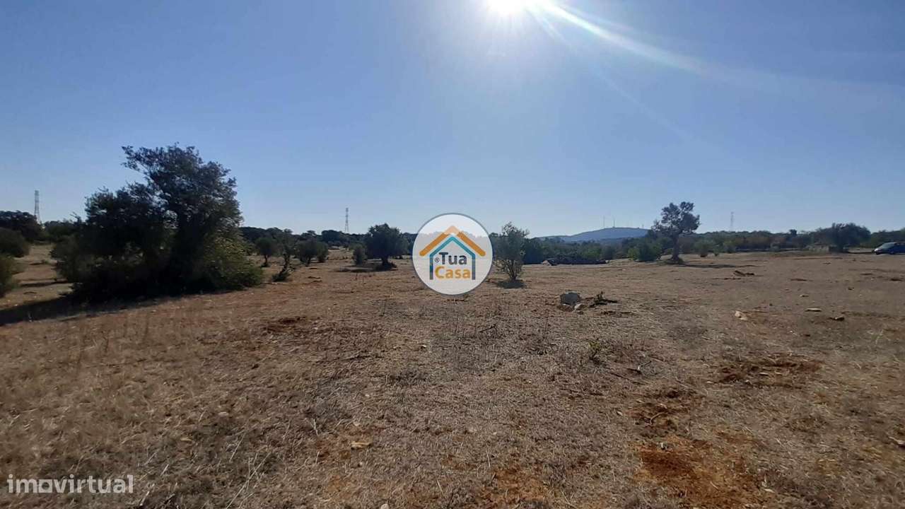 Terreno Rústico com 2,6Ha em Conceição e Estói - Grande imagem: 3/16