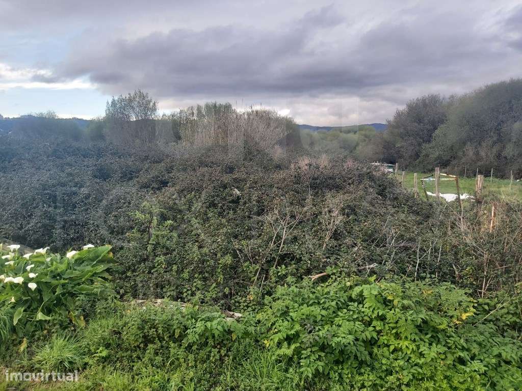 Terreno Urbanizado - Darque - Grande imagem: 5/5