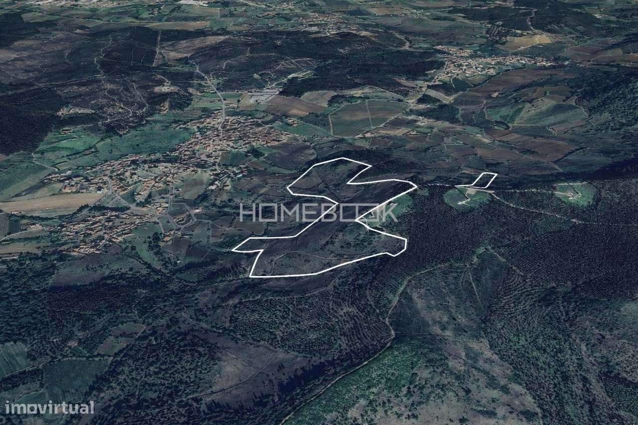 Terrenos Rústicos em REN para Venda – Maxial e Monte Redondo | Torres - Grande imagem: 3/4