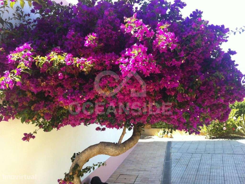 Prédio com 9 frações em Sagres-6