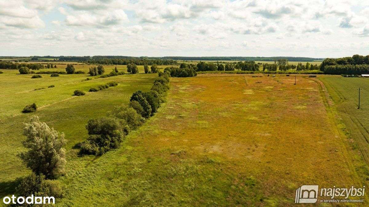 Ninikowo - działki budowlane - Wz w trakcie! - Pełny obrazek: 4/9