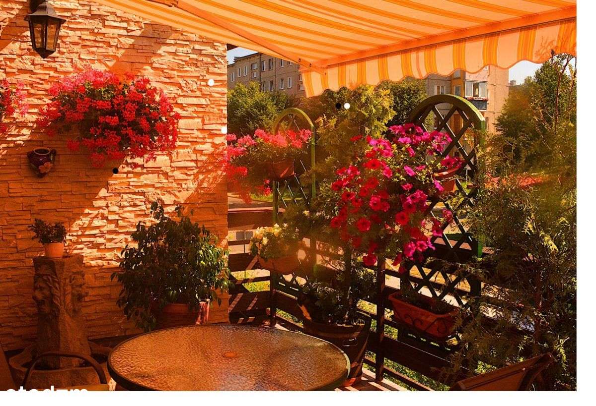 Mega Okazja - Garaż i Piwnica w cenie !!!-7