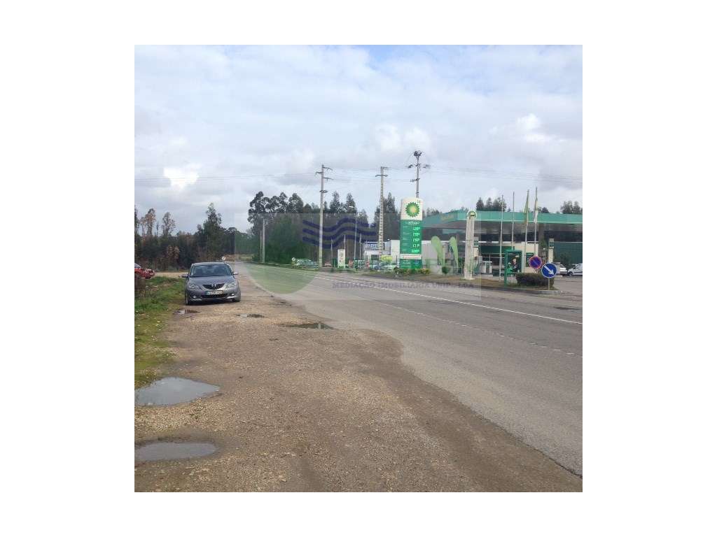 TERRENO | 5.000 m² | ÁGUEDA FRENTE PARA ESTRADA NACIONAL - Grande imagem: 4/4