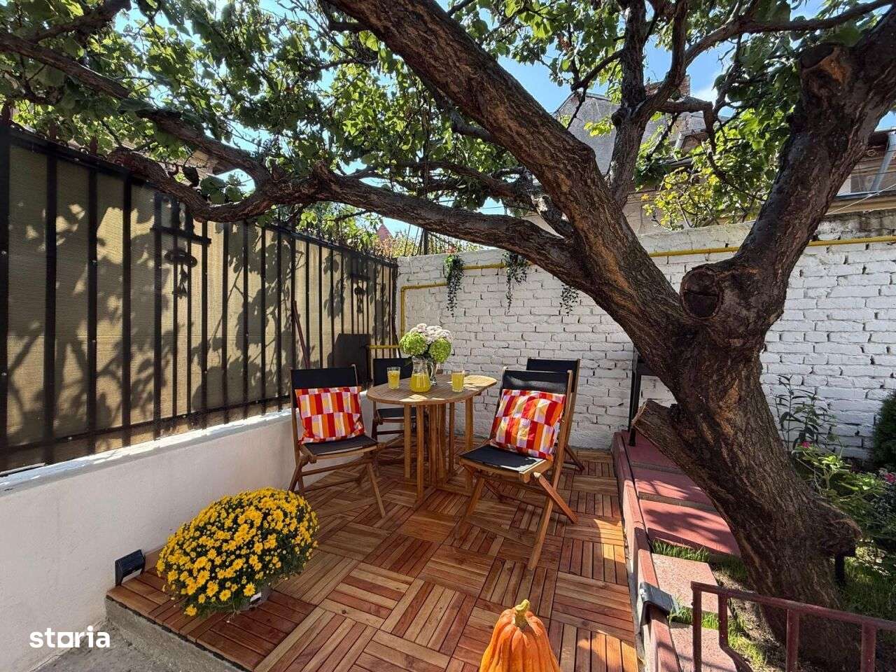 Povestea coltului de rai din mijlocul orasului - Imagine principală: 4/16