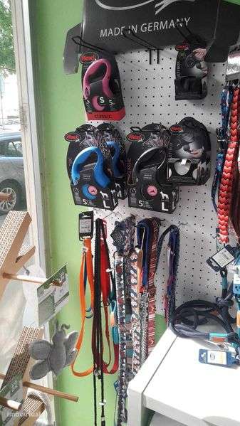 Trespasse loja grooming Guimarães - Grande imagem: 5/12