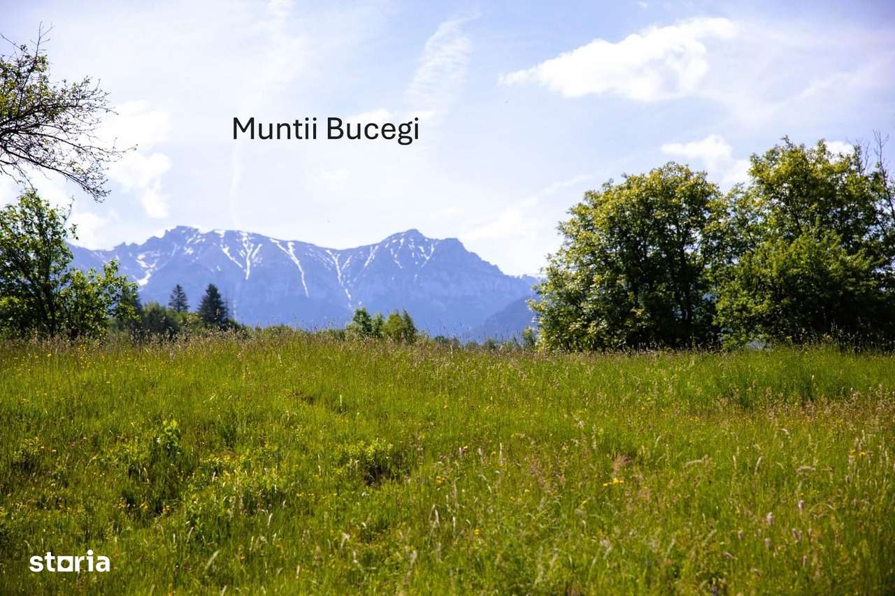 Teren intravilan - 1.050 mp în Bran cu utilitati – priveliște Bucegi-9