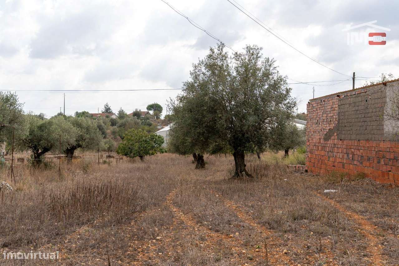 Excelente Oportunidade   Excelente Oportunidade de Investimento em... - Grande imagem: 5/18