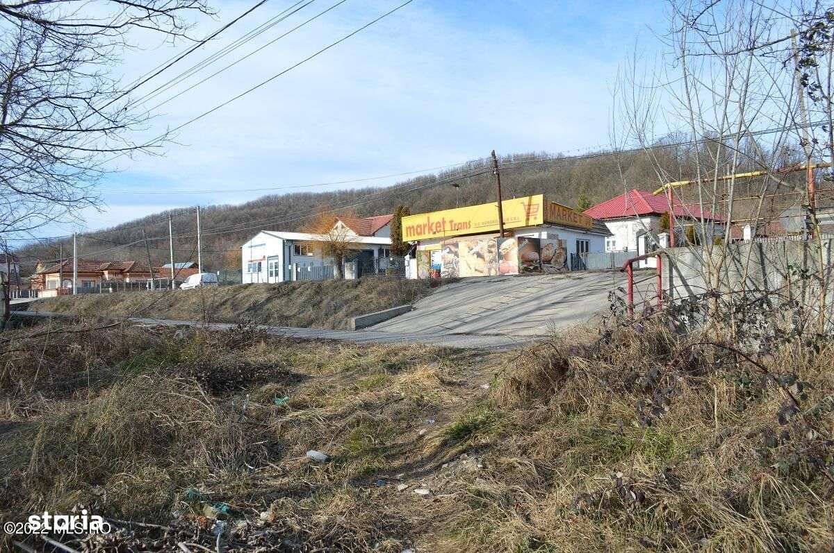 Valea Ursului - DN 7, Teren Stradal 2744 mp - Imagine principală: 2/14