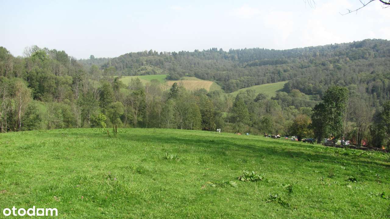 Siedlisko w Bieszczadach-9