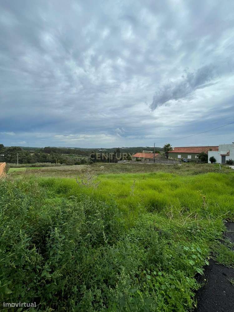 Terreno de 4.440m2, Silveira, Torres Vedras - Grande imagem: 3/12