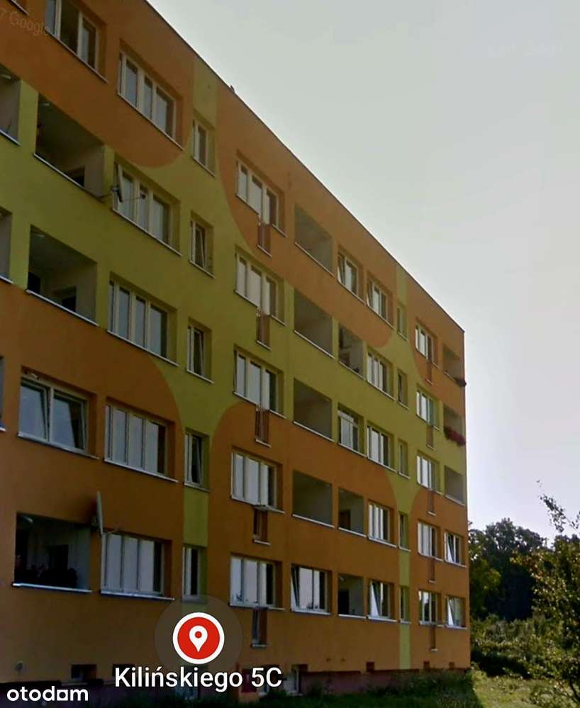 3 pokojowe mieszkanie z ogródkiem! - Pełny obrazek: 4/13