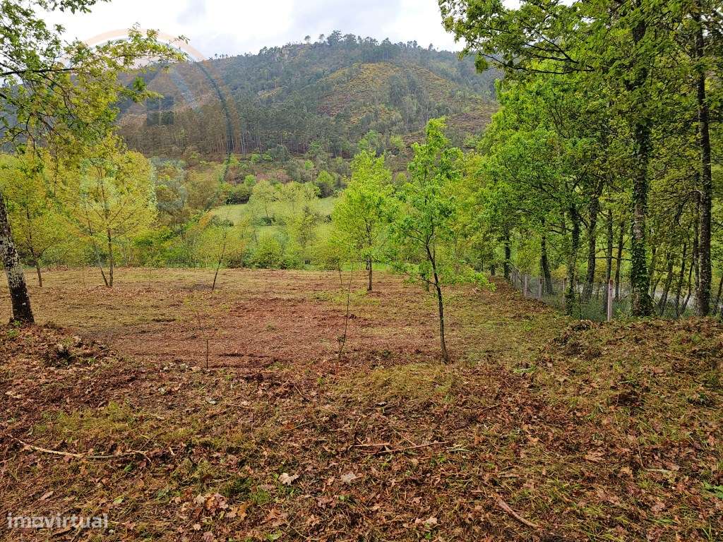 Quinta junto ao rio e área de lazer de Santa Senhorinha de Basto, C...-21