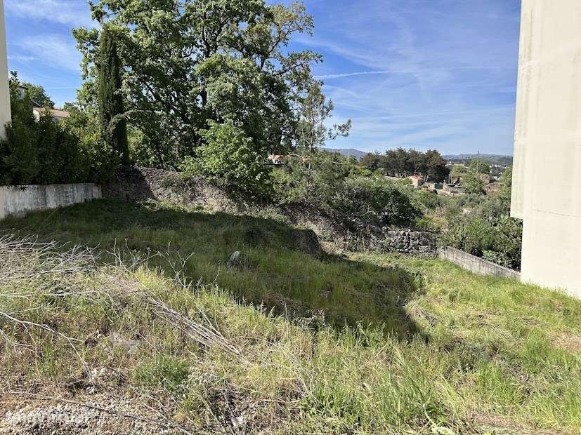 Lote para Construção no Sitio do Vale - Belmonte-9