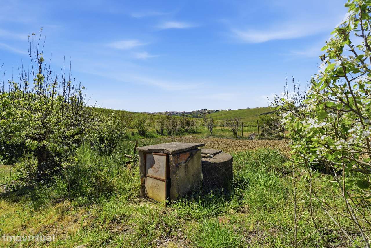 Quinta em Bonabal com Moradia T3 + Armazém + Terreno com mais de 3 400-14