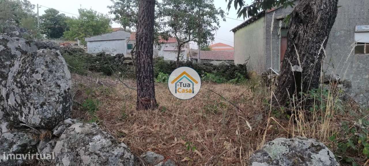 Moradia T1 para Restaurar na Serra do Montemuro, Aldeia do Mezio - Grande imagem: 5/11