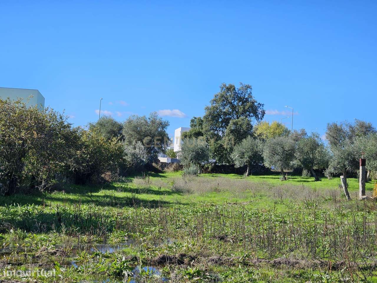 Terreno Rústico em Alcains: Vista Panorâmica e Excelente Localização - Grande imagem: 4/12