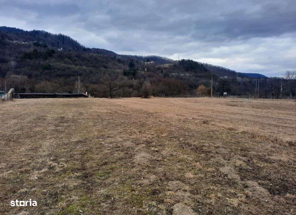 Teren intravilan Alexandru cel bun (Jud. Neamt) , 750 metri Cod:157552 - Imagine principală: 3/3