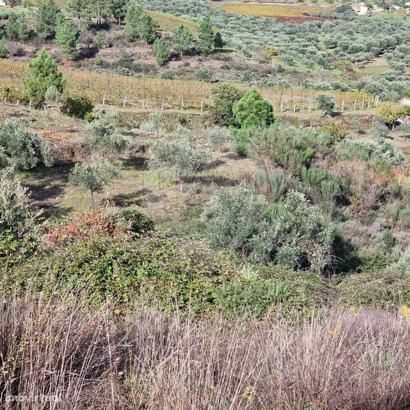 Terreno  para venda