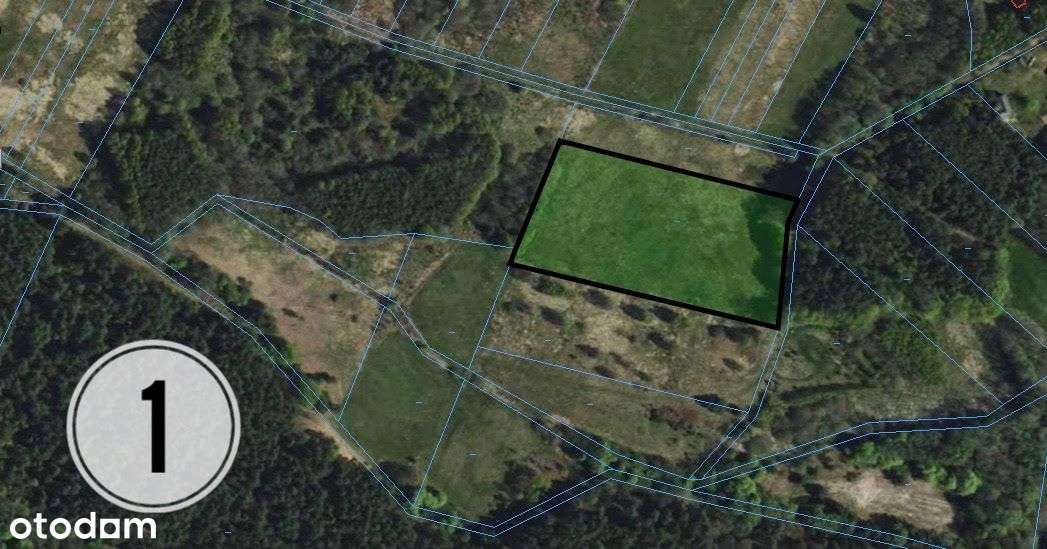 Działki rekreacyjne nad rzeką Wartą-możliwe raty!-16