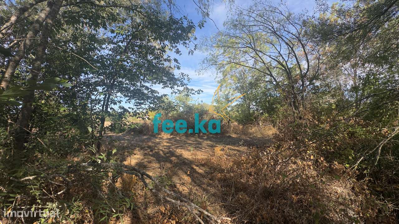 Terreno em Ladoeiro-23
