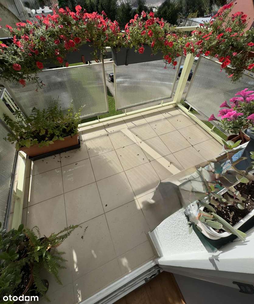 Mieszkanie, 106,97 m², Koszalin-6