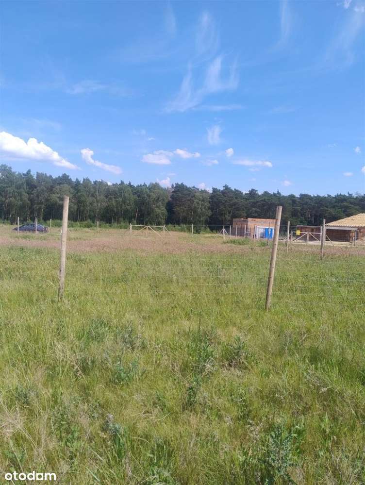 Działka przy lesie w Sepnie koło Zielątkowa - Pełny obrazek: 4/18