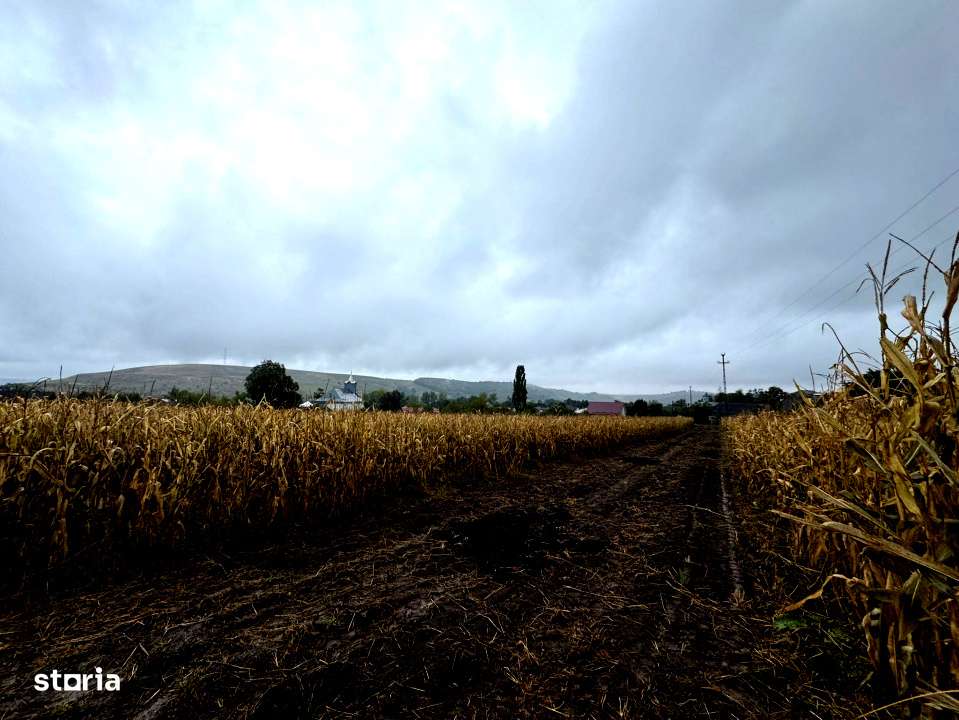 Adresa in Romania-  casa batraneasca demolabila cu 2050 mp teren-15