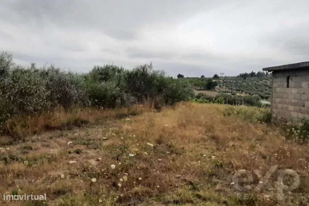 Terreno rústico - Freguesia Bouça - Grande imagem: 5/8