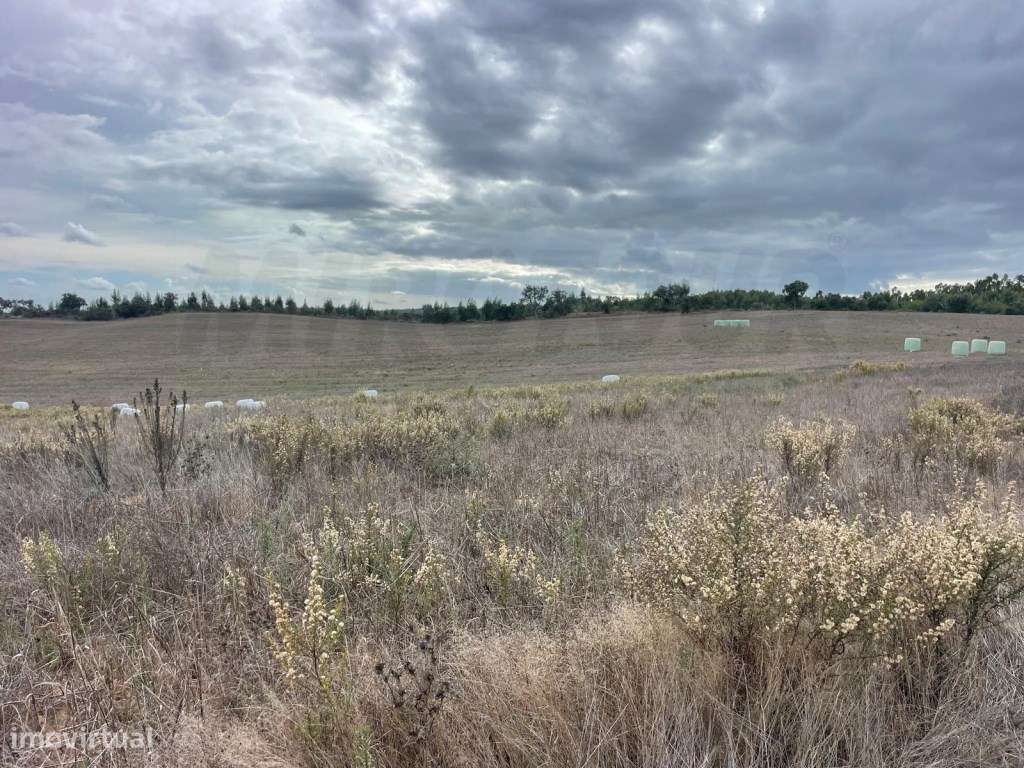 Monte Típico Alentejano para Reabilitar - Santiago do Cacém-10