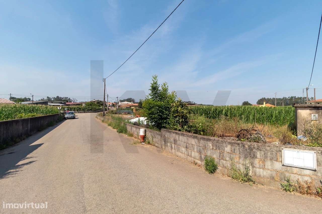 Terreno com Elevado Potencial para Investimento – Avanca, Estarreja-25