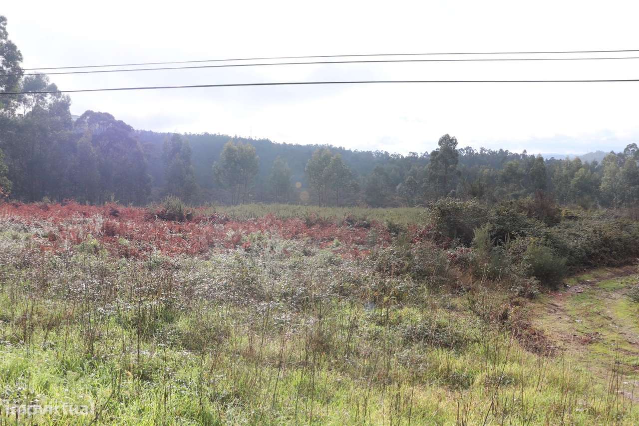Lote de Terreno  Venda em Lustosa e Barrosas (Santo Estêvão),Lousada-5