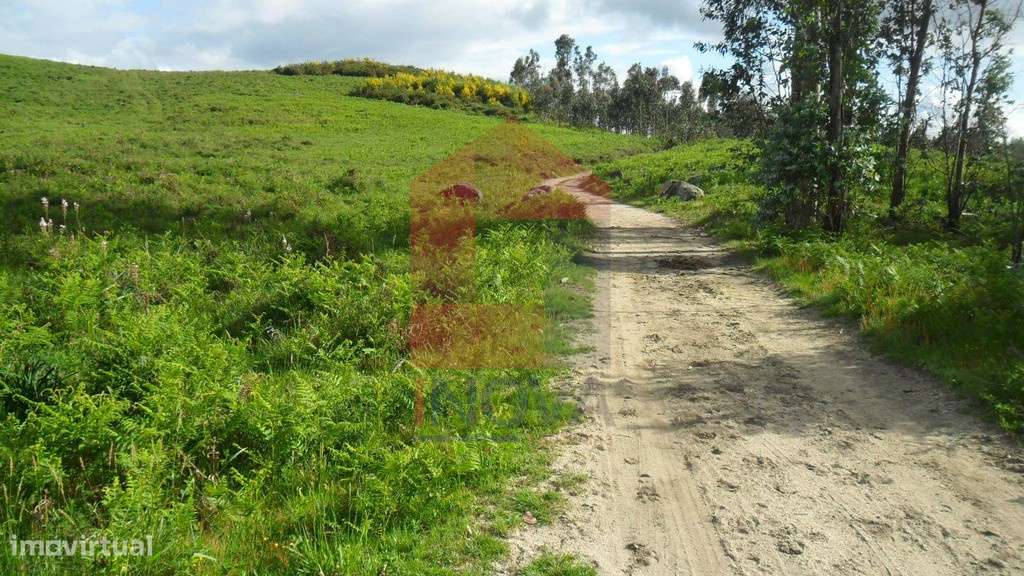 Terreno, Godinhaços - Grande imagem: 5/14