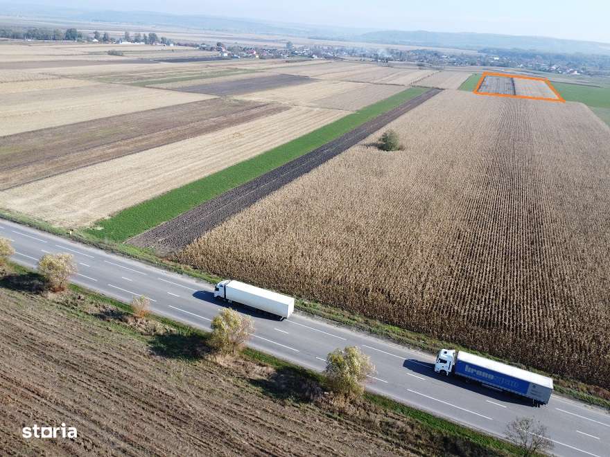 Teren Secuienii Noi /Basta 27900 mp Utilitati 92 ml Deschidere-7