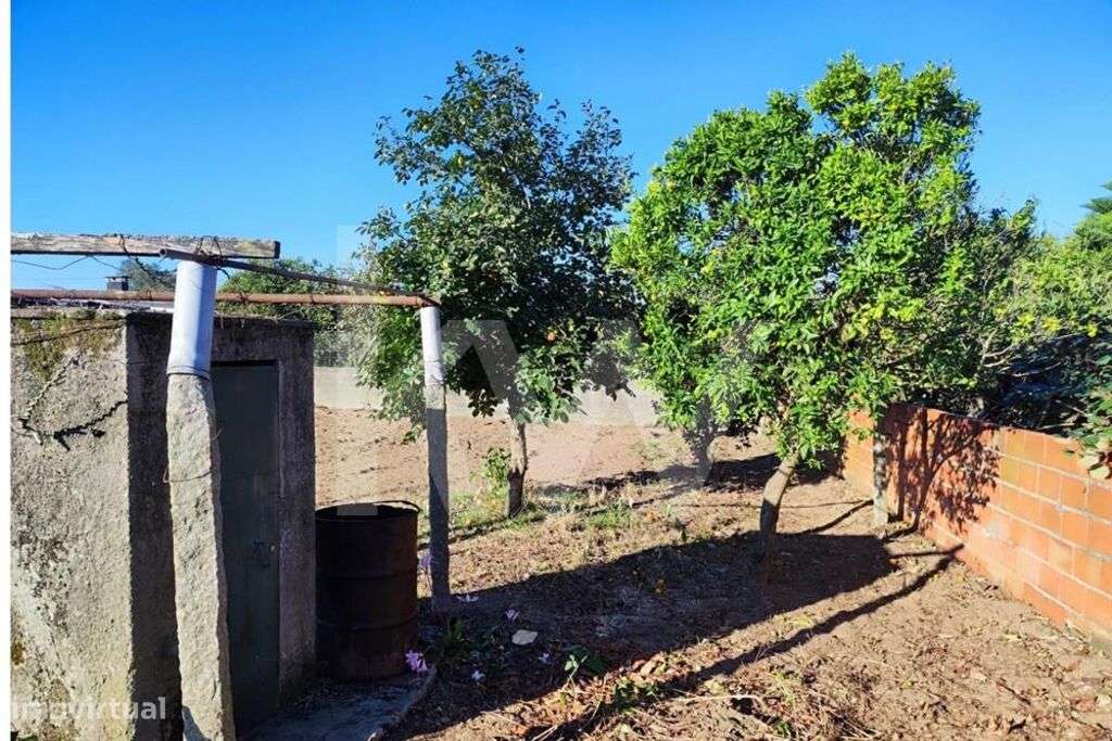 Lote de Terreno Urbano com 1276m2- Entre Cacia e Paço - Grande imagem: 3/8