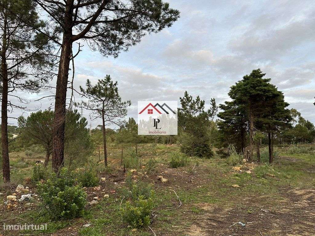 Terreno para loteamento  em Antanhol Coimbra (V811MA) - Grande imagem: 5/18