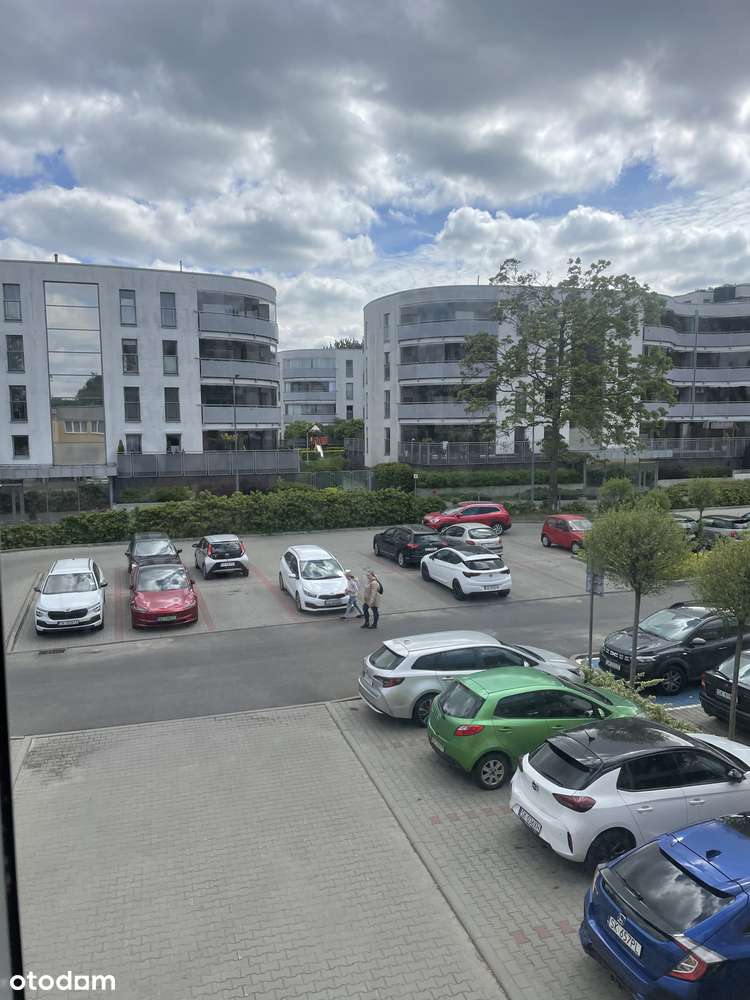 DUŻY, SŁONECZNY LOKAL NA 3 STAWACH 181 m2   na gabinety/biuro/fitness - Pełny obrazek: 3/8