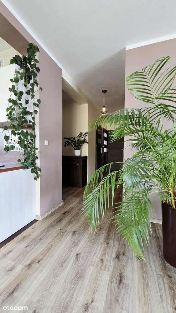 Sprzedam dom w spokojnej lokalizacji - Ciechomice-12