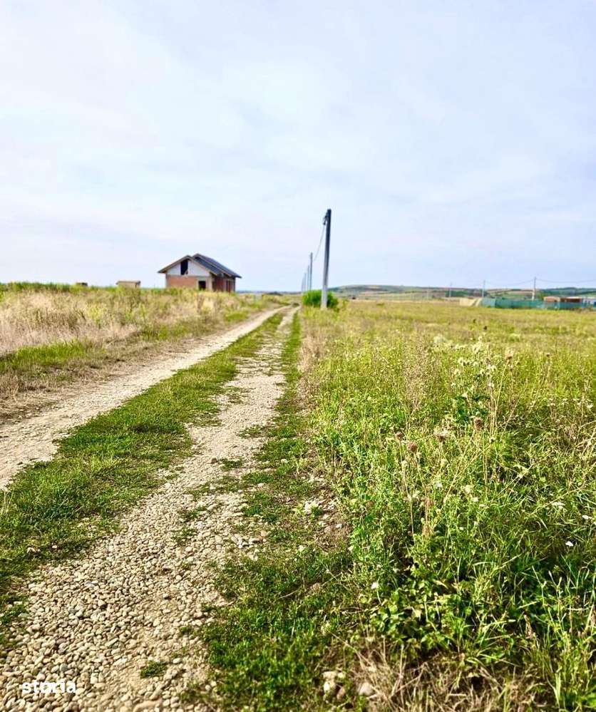 Teren intravilan de vanzare Paleu 750mp /884mp - Imagine principală: 2/4