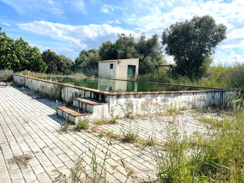 Quinta localizada a 1,5Km da Vidigueira-21