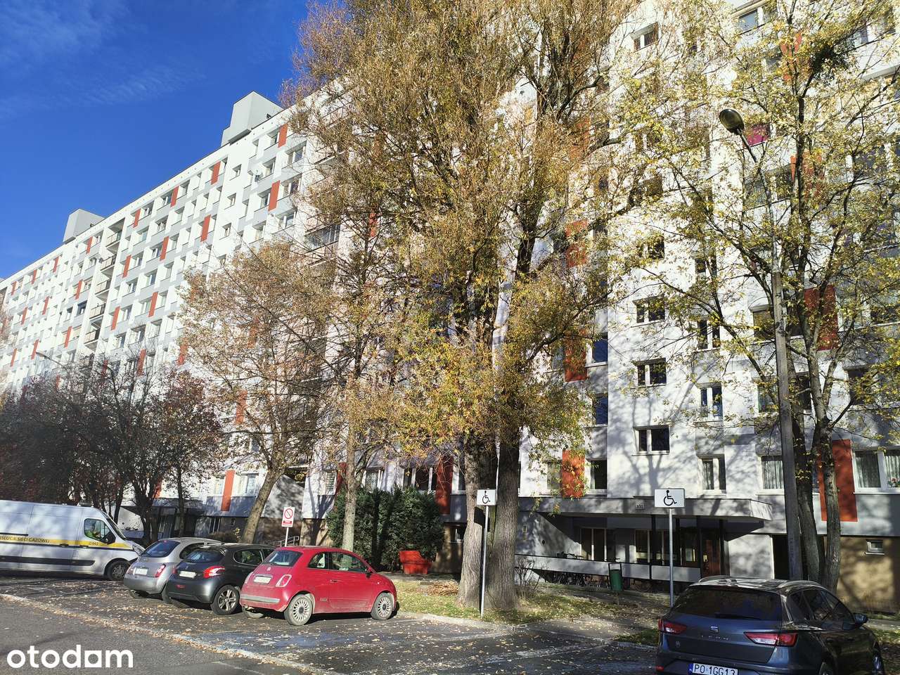 niski czynsz , piwnica , od zaraz-6