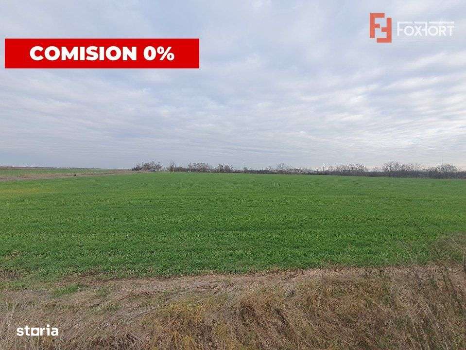 Comision 0% Teren extravilan agricol 21,32 ha sau intravilan cu PUZ ap - Imagine principală: 2/19