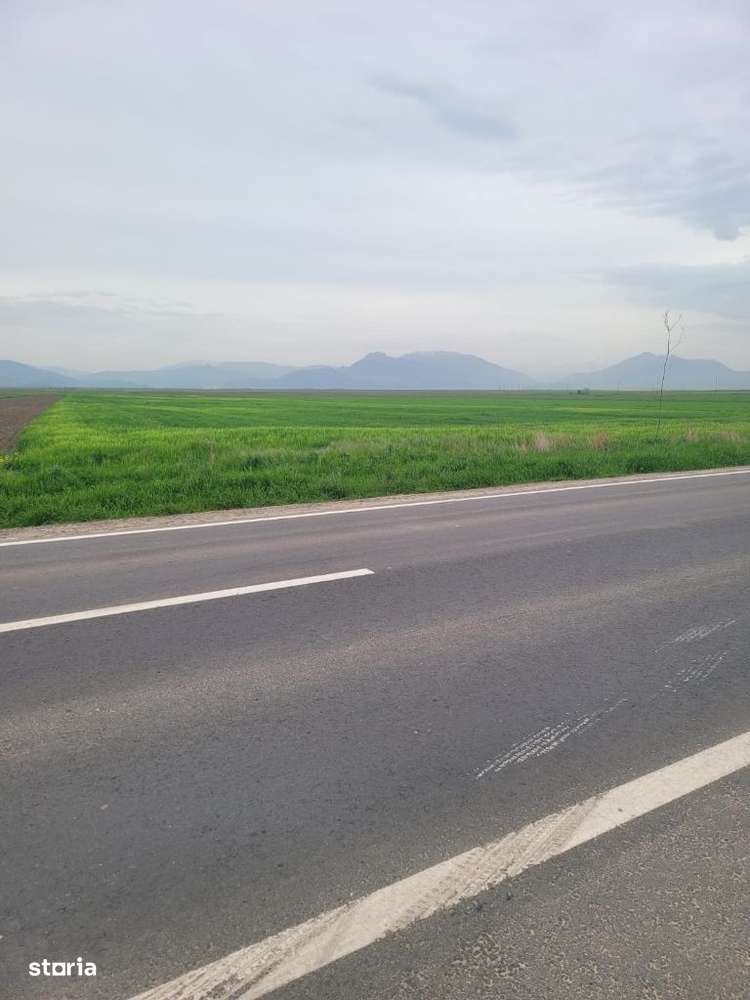 Teren destinatie industrial zona Parc Prejmer - Imagine principală: 1/6